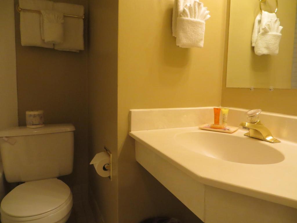 Athabasca Hotel Jasper Kamer foto